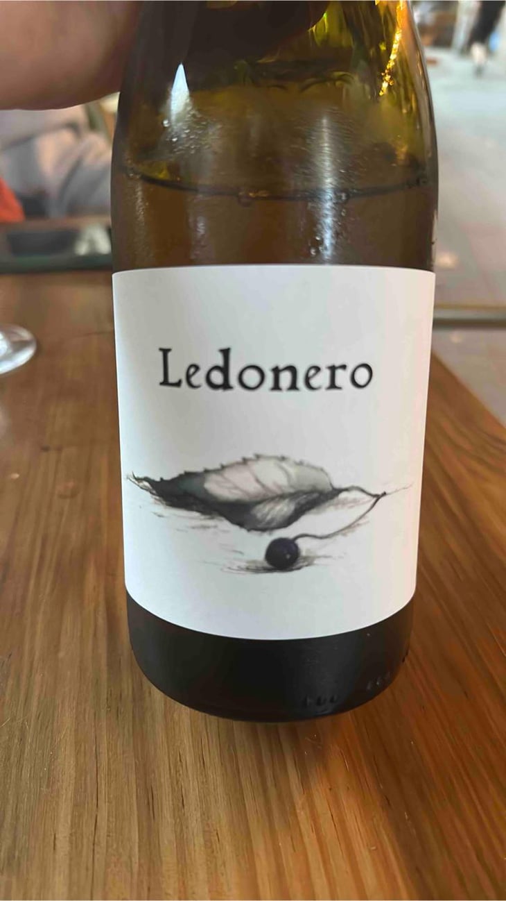 Ledonero - Barranco Oscuro - Manuel & Lorenzo Valenzuela 
