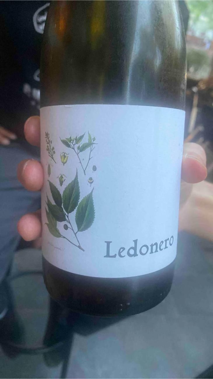 Ledonero - Barranco Oscuro - Manuel & Lorenzo Valenzuela 