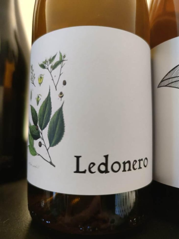 Ledonero - Barranco Oscuro - Manuel & Lorenzo Valenzuela 