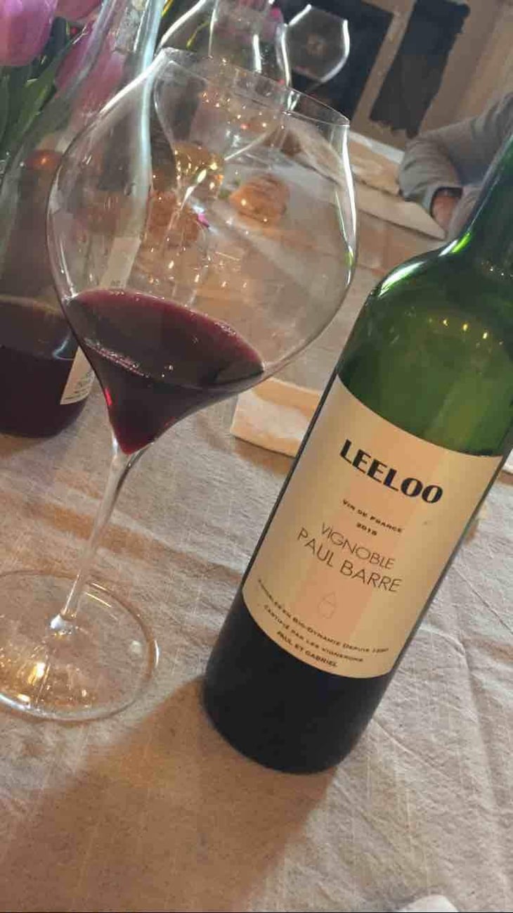 Leeloo - Vignoble Paul Barre - Edith & Gabriel Barre 