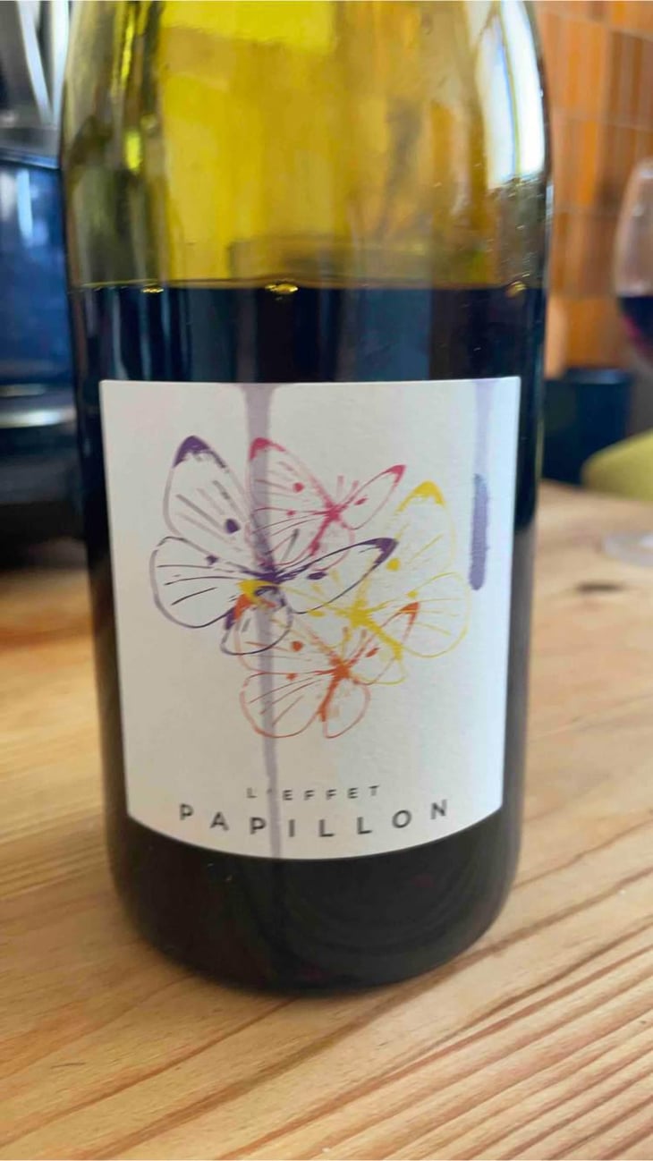 L’effet papillon - Solence - Anne-Marie Et Jean-Luc Isnard -2021
