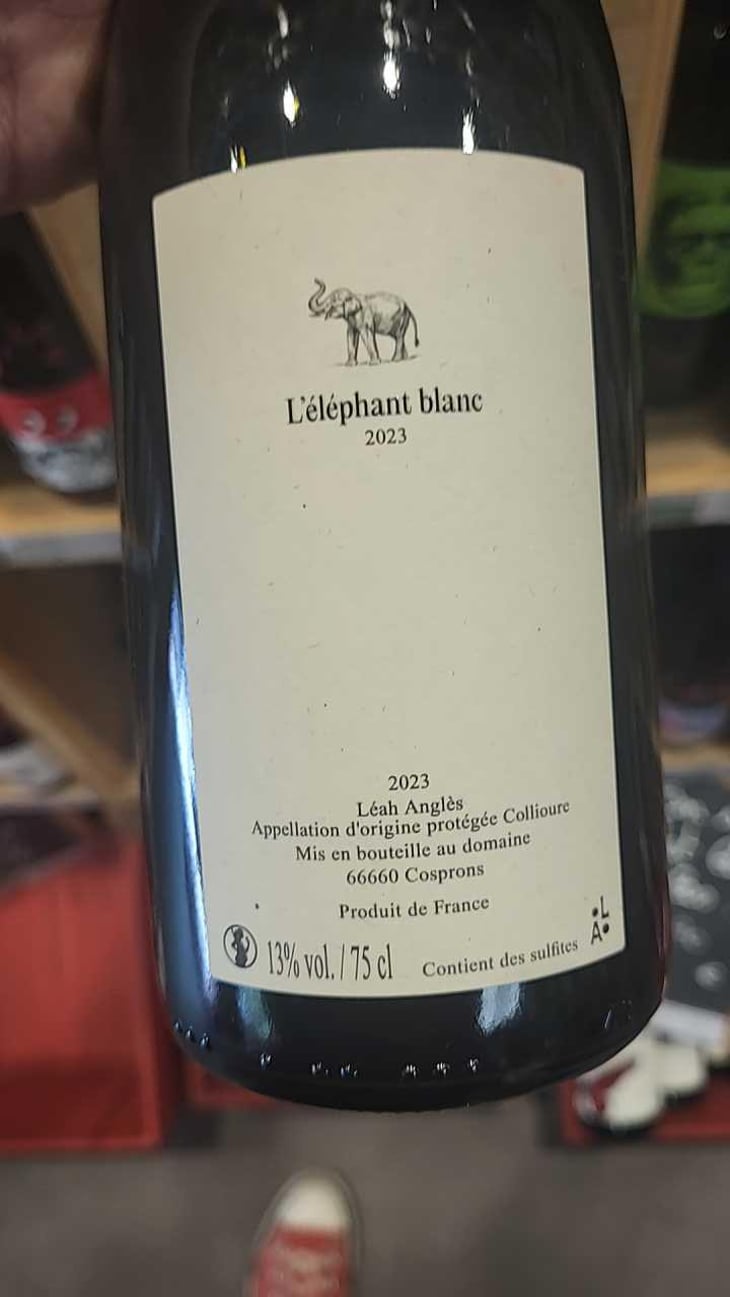 L'Éléphant Blanc - Léah Anglès - Léah Anglès 