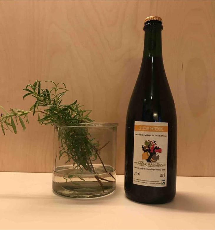 L'Elixir Onirique - Le Vin à Poil ! - Xavier Marchais 