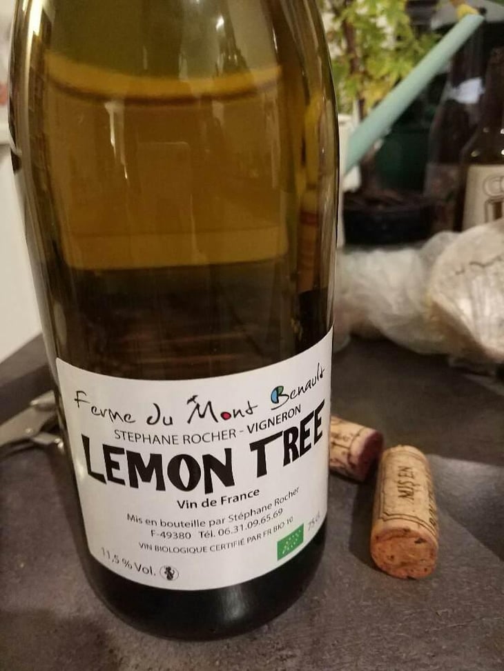Lemon Tree - Ferme du Mont Benault - Stéphane Rocher 