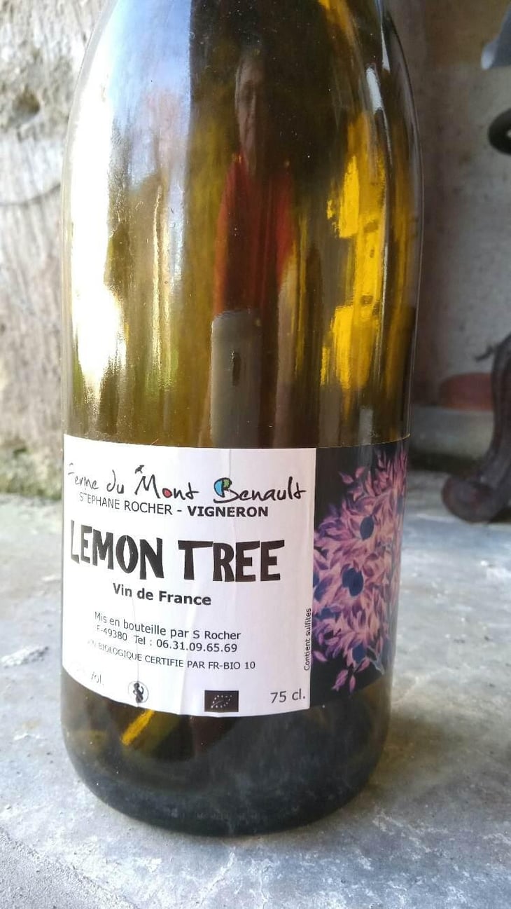 Lemon Tree - Ferme du Mont Benault - Stéphane Rocher 