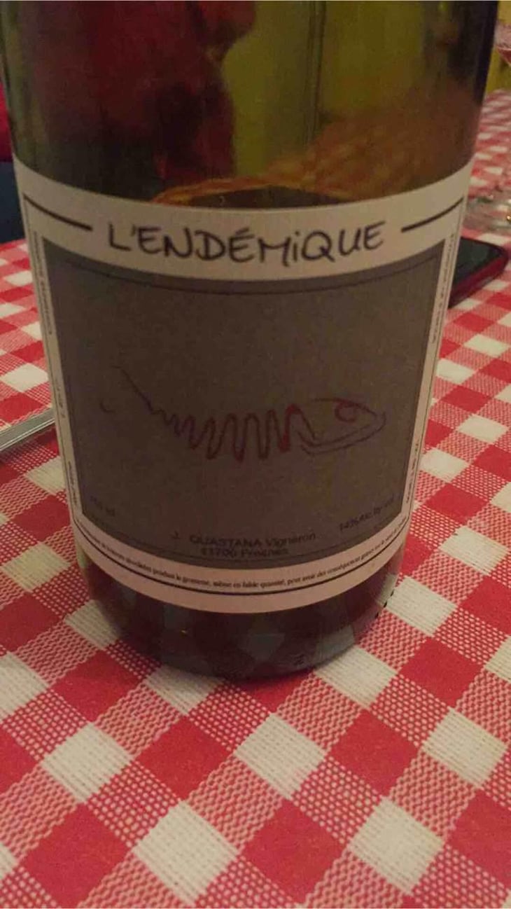 L’endémique - Jeremy Quastana - Jeremy Quastana 