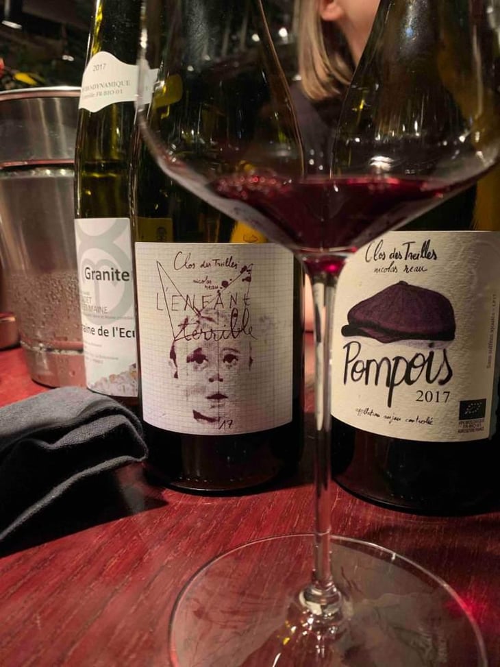 L'Enfant Terrible (2017 label) - Le Clos des Treilles - Nicolas Reau 