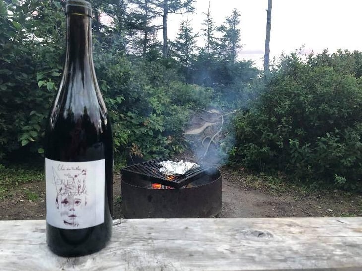 L'Enfant Terrible (2017 label) - Le Clos des Treilles - Nicolas Reau 