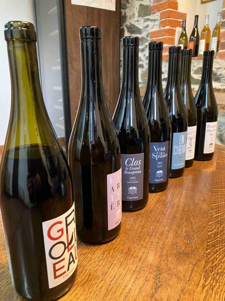 L'Enjouée rouge - Domaine Ogereau - Vincent & Emmanuel Ogereau 