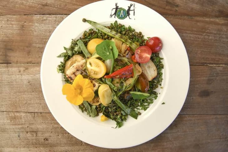 Lentil Salad - Villa Augustus - 289380
