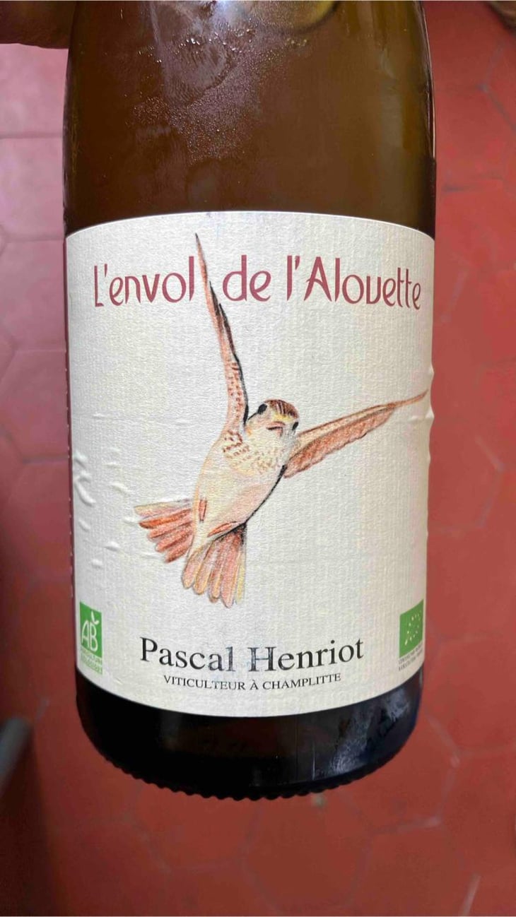 L’envol de l’alouette - Pascal Henriot - Pascal Henriot -2022