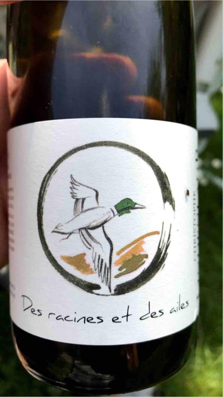 L'Envol - Lindenlaub - Christophe Lindenlaub 