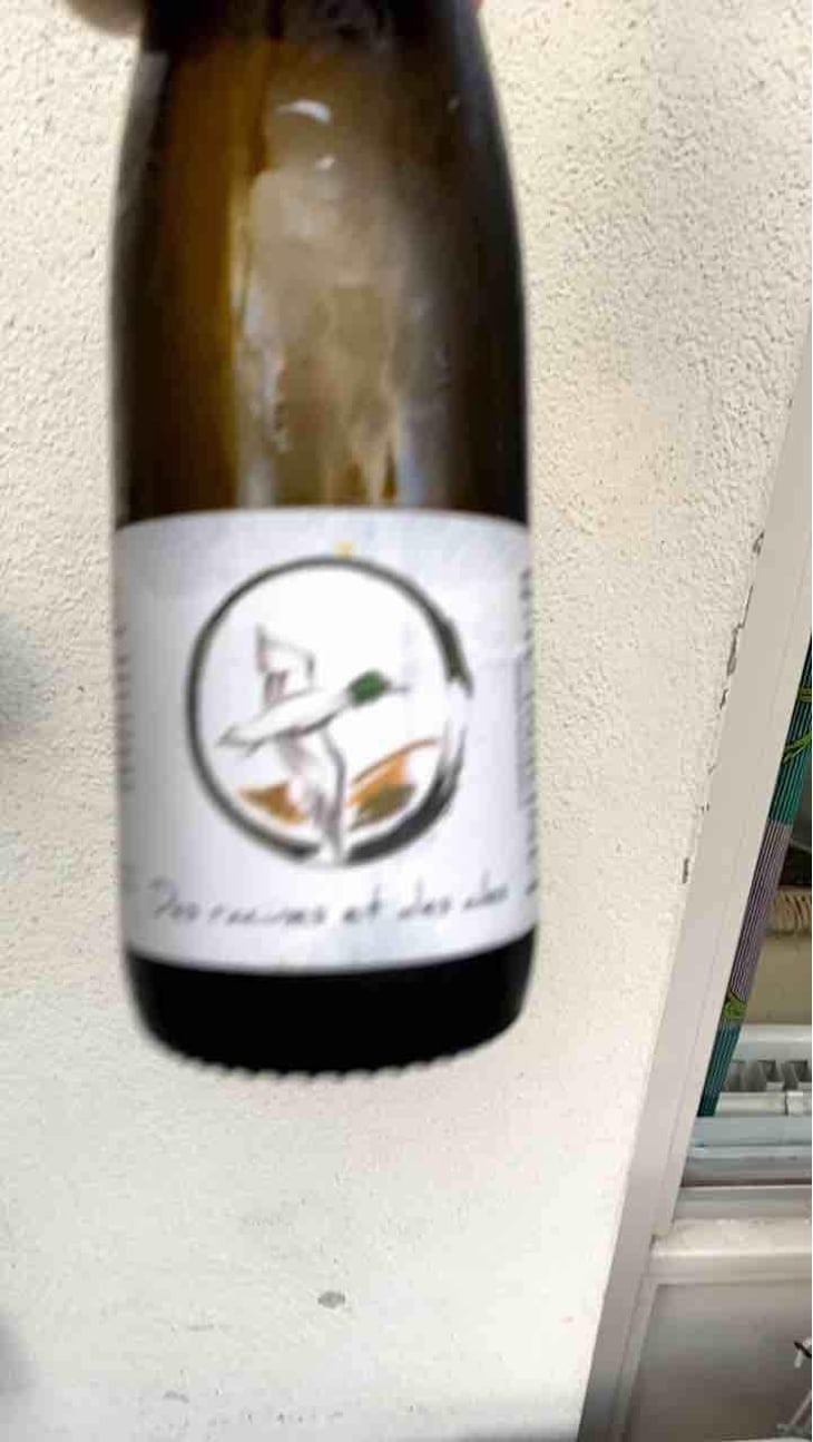 L'Envol - Lindenlaub - Christophe Lindenlaub 