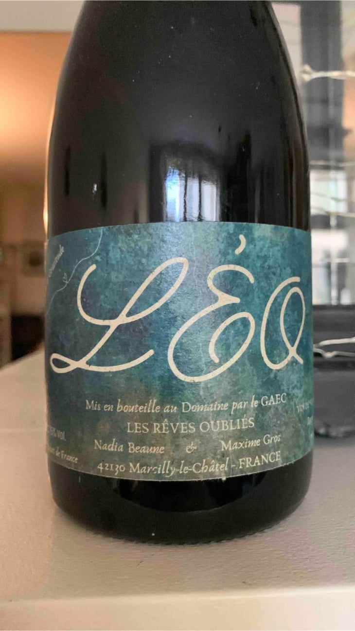 Léo - Les Rêves Oubliés - Nadia Beaune 