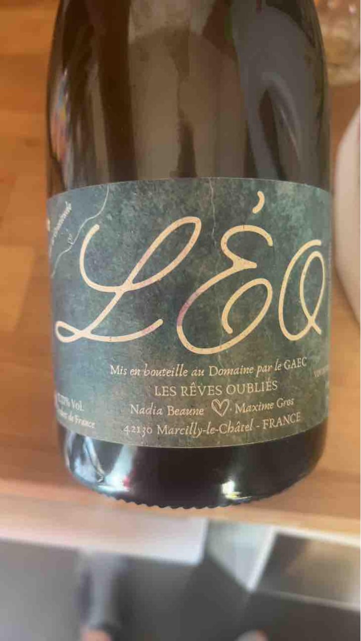 Léo - Les Rêves Oubliés - Nadia Beaune 