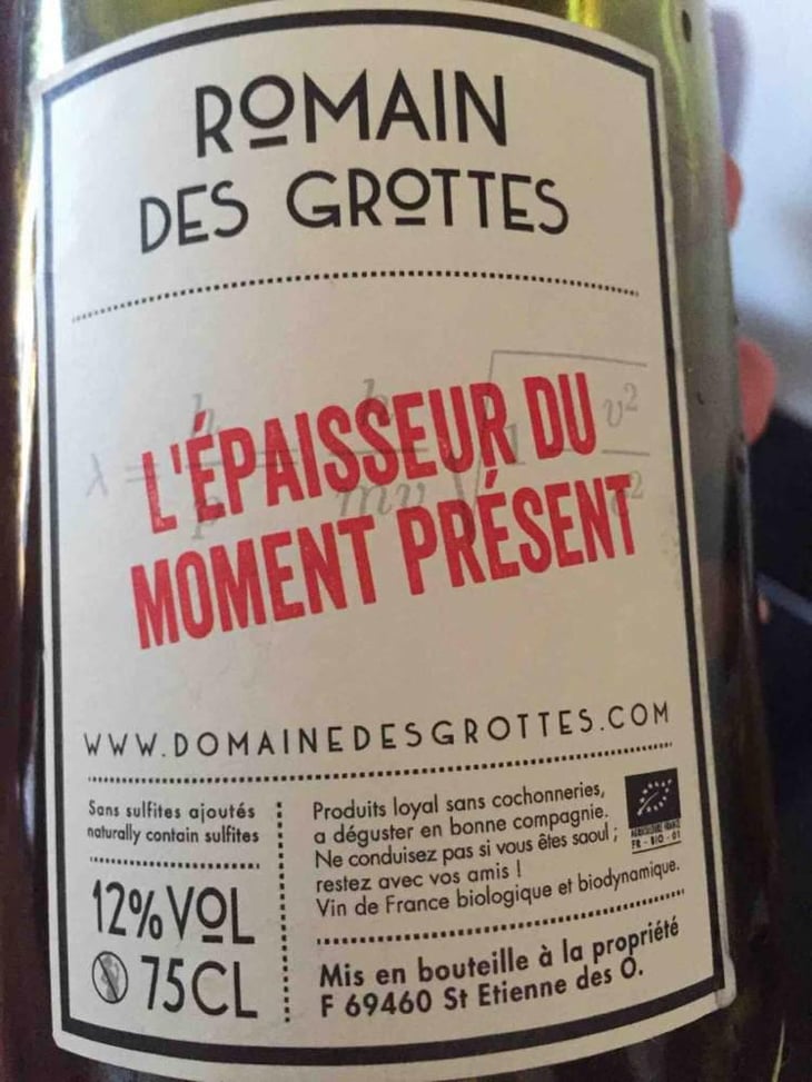 L’Epaisseur Du Moment Présent - Domaine des Grottes - Romain des Grottes 