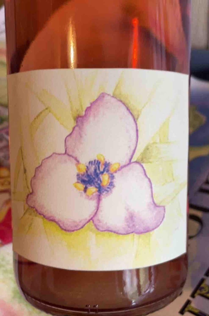 Beaujolais Village - Domaine des Chopins - Germain Santailler 