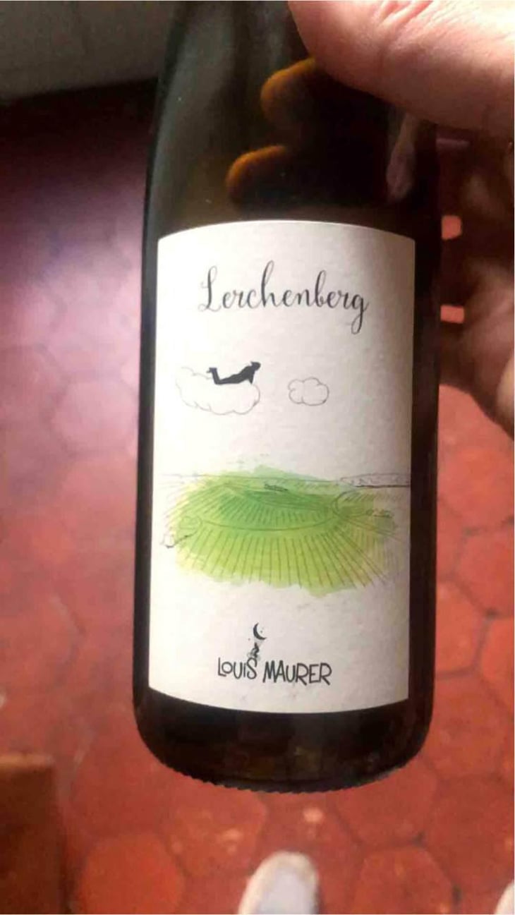 Lerchenberg - Louis Maurer - Louis Maurer 