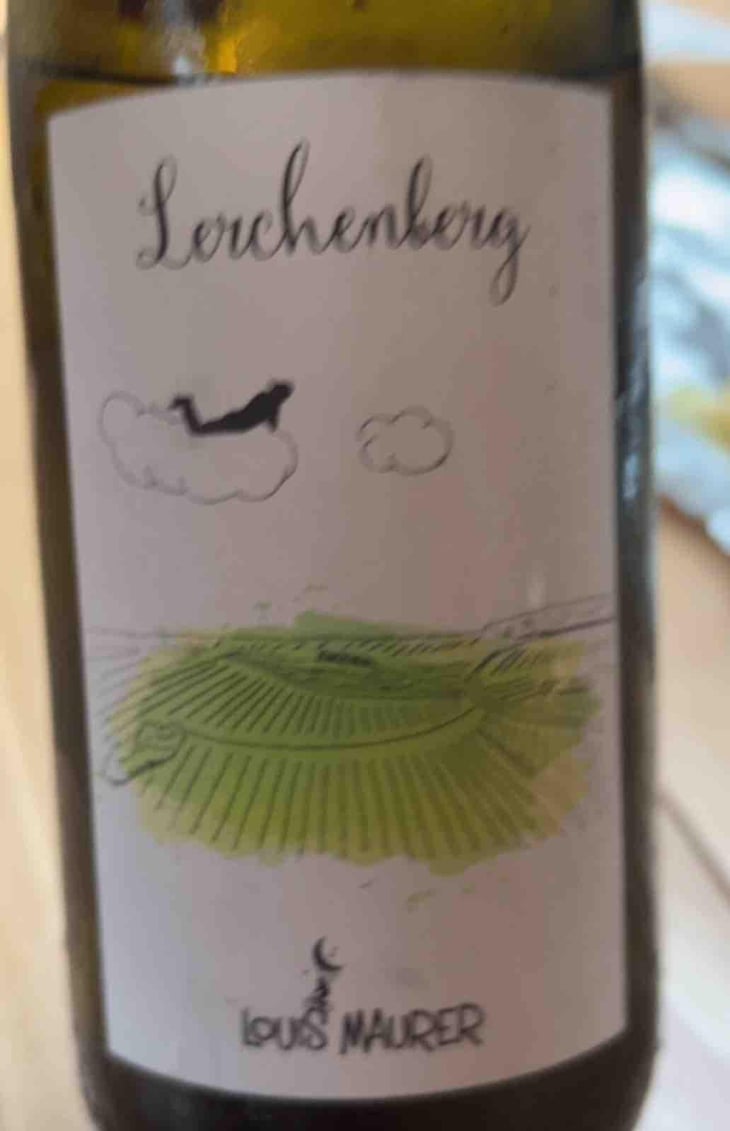 Lerchenberg - Louis Maurer - Louis Maurer 