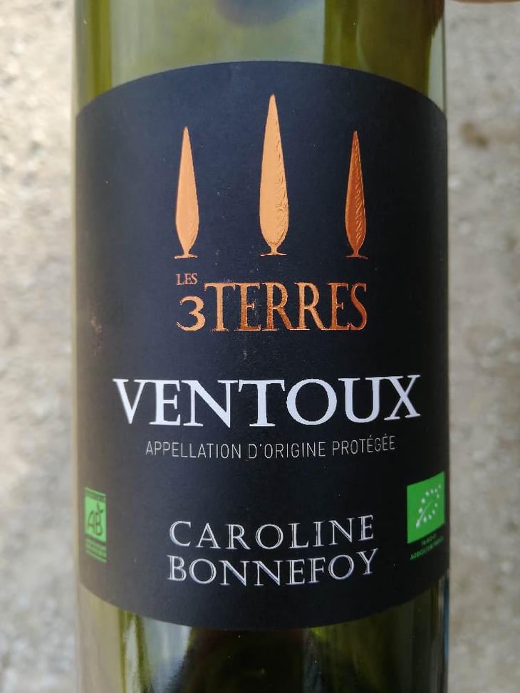 Les 3 Terres - Caroline Bonnefoy - Caroline Bonnefoy -2019