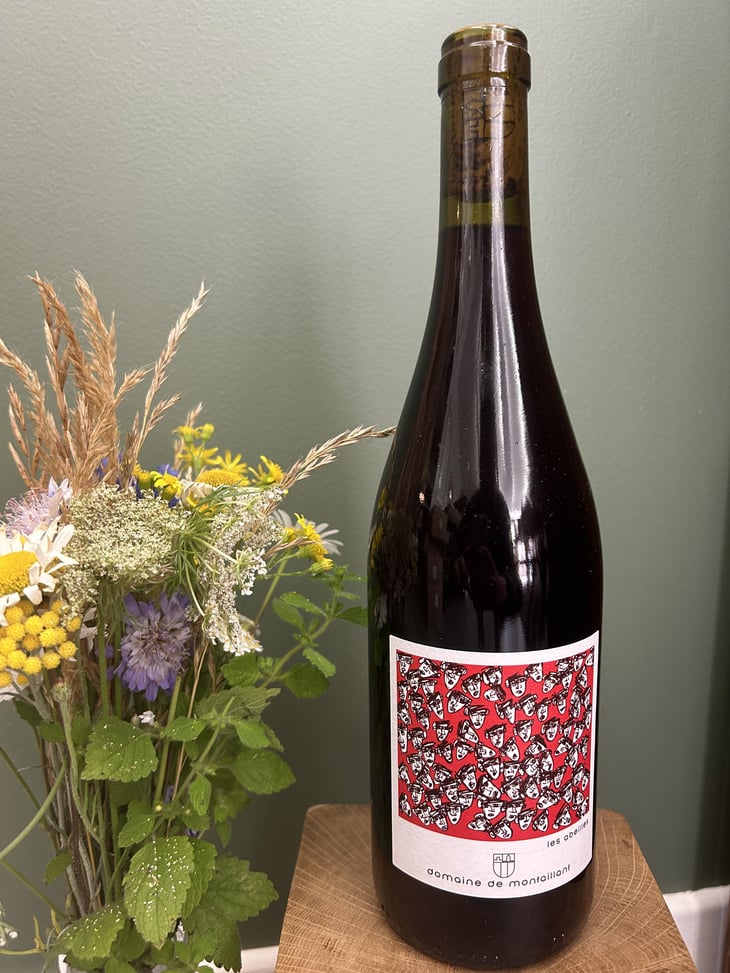 Les Abeilles - Domaine Montaillant - Alexis Hudon & Jérôme Loubert -2022