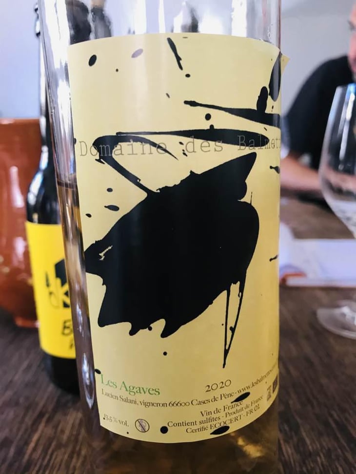 Les Agaves - Domaine des Balmettes - Lucien Salani 