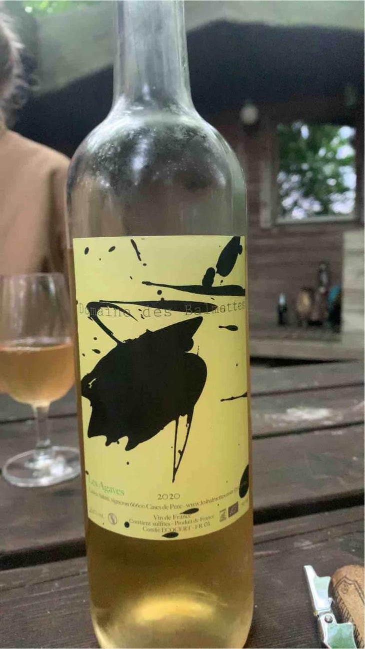 Les Agaves - Domaine des Balmettes - Lucien Salani 