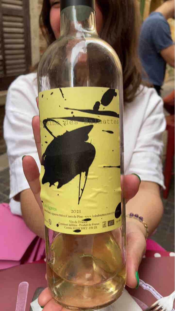 Les Agaves - Domaine des Balmettes - Lucien Salani 