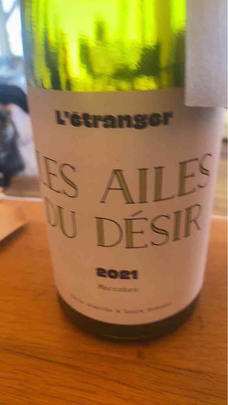 Les Ailes du Désir - Domaine de L'Étranger - Paulo Almeida & Laura Rebeissi 