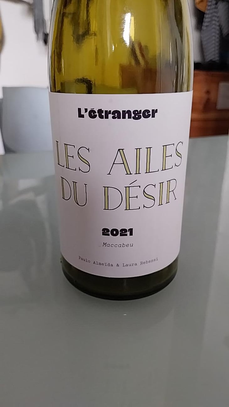 Les Ailes du Désir - Domaine de L'Étranger - Paulo Almeida & Laura Rebeissi 
