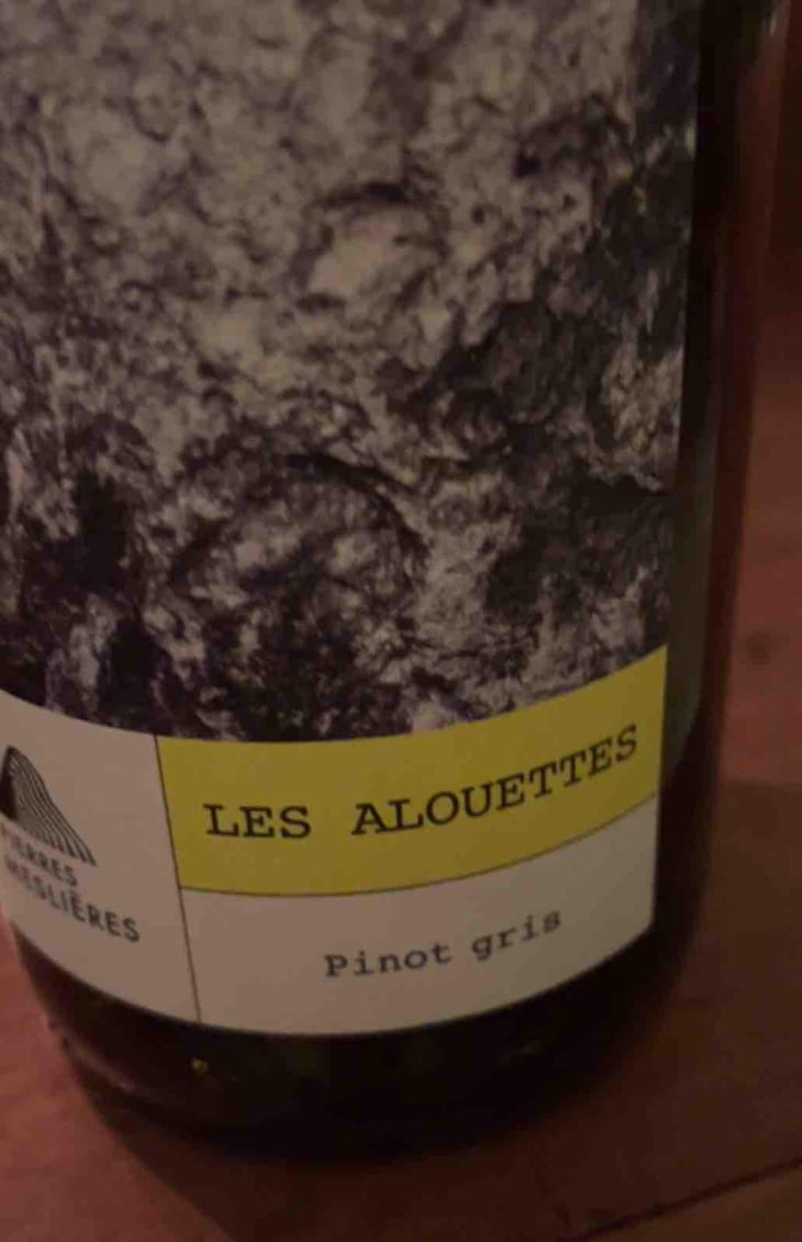 Les Alouettes - Les Pierres Meslières - Frédéric Monnier -2022