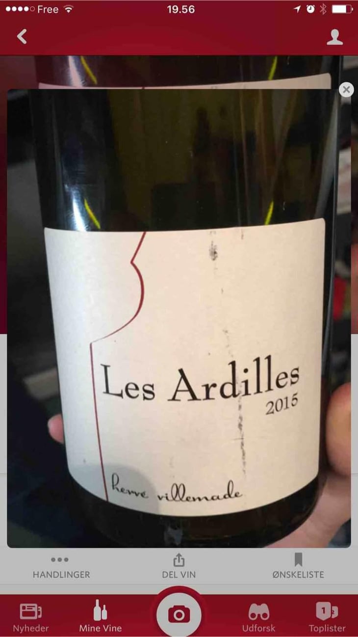 Les Ardilles - Hervé Villemade - Hervé Villemade 