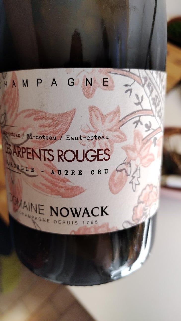 Les Arpents Rouges - Domaine Nowack - Flavien Nowack 