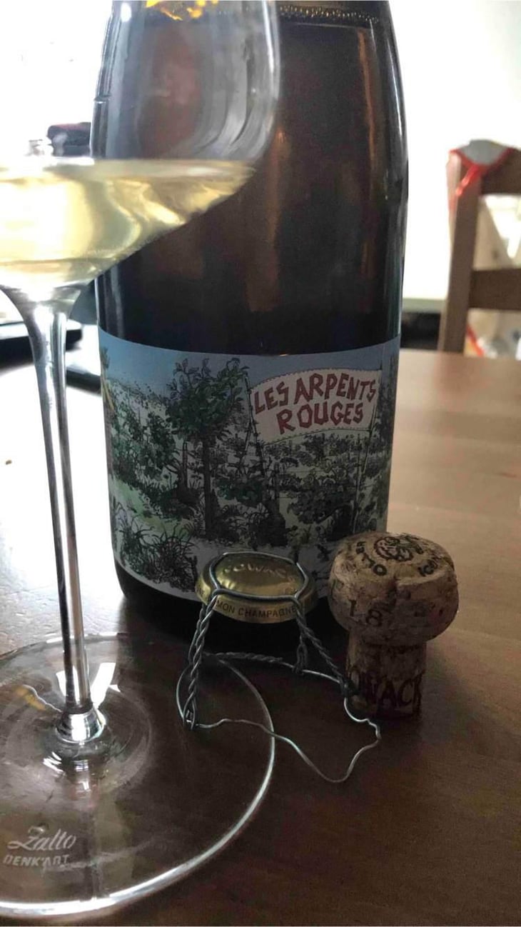 Les Arpents Rouges - Domaine Nowack - Flavien Nowack 
