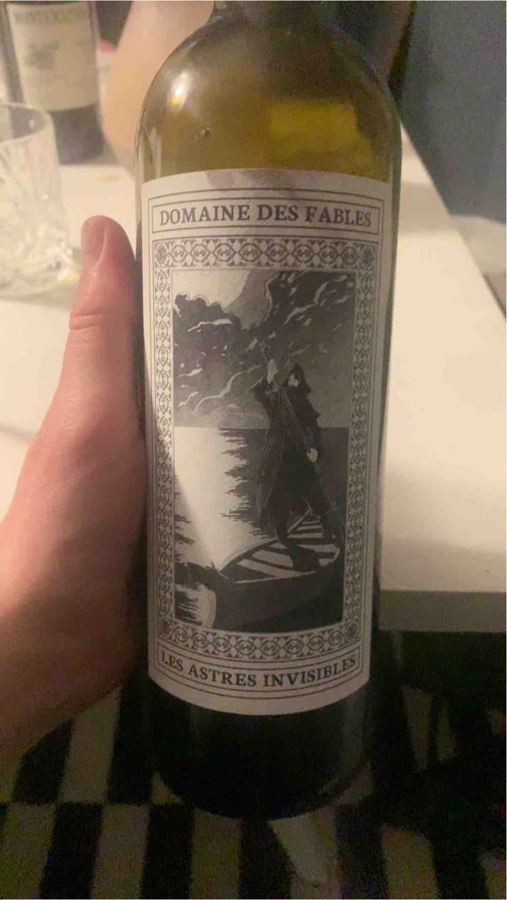 Les Astres Invisibles - Domaine des Fables - François Gilles 
