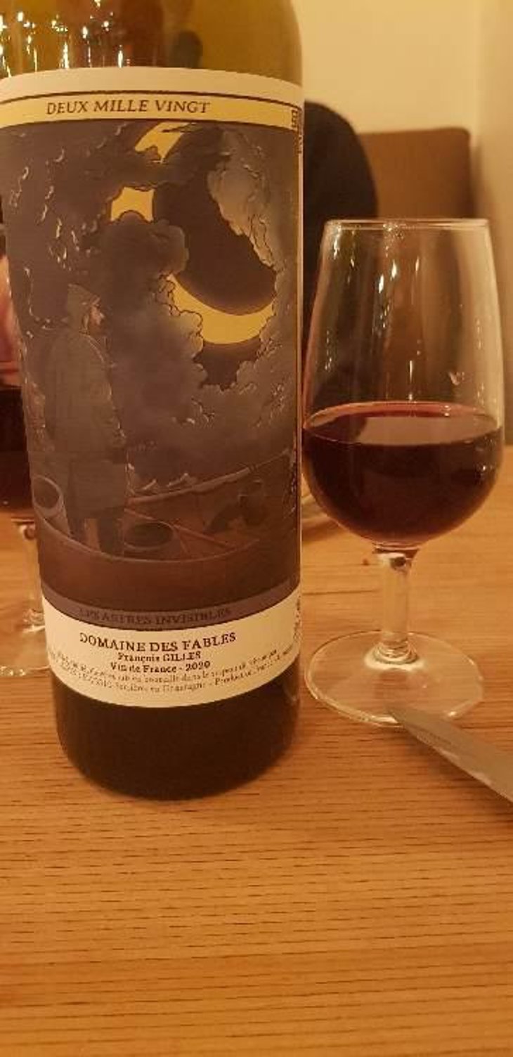 Les Astres Invisibles - Domaine des Fables - François Gilles 