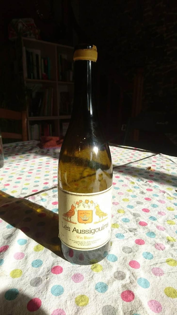 Les Aussigouins - Vins Hodgson - Mai & Kenji Hodgson 