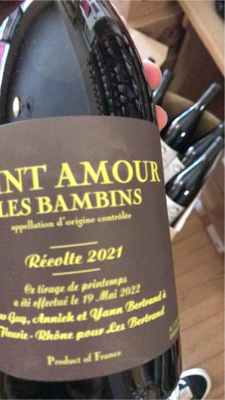 Les Bambins - Les Bertrand - Guy, Annick & Yann Bertrand 
