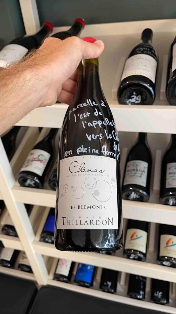 Les Blemonts - Domaine Thillardon - Aude, Jean-Baptiste, Charles et Paul-Henri Thillardon 