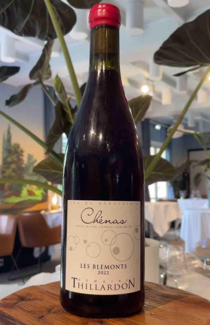 Les Blemonts - Domaine Thillardon - Aude, Jean-Baptiste, Charles et Paul-Henri Thillardon 