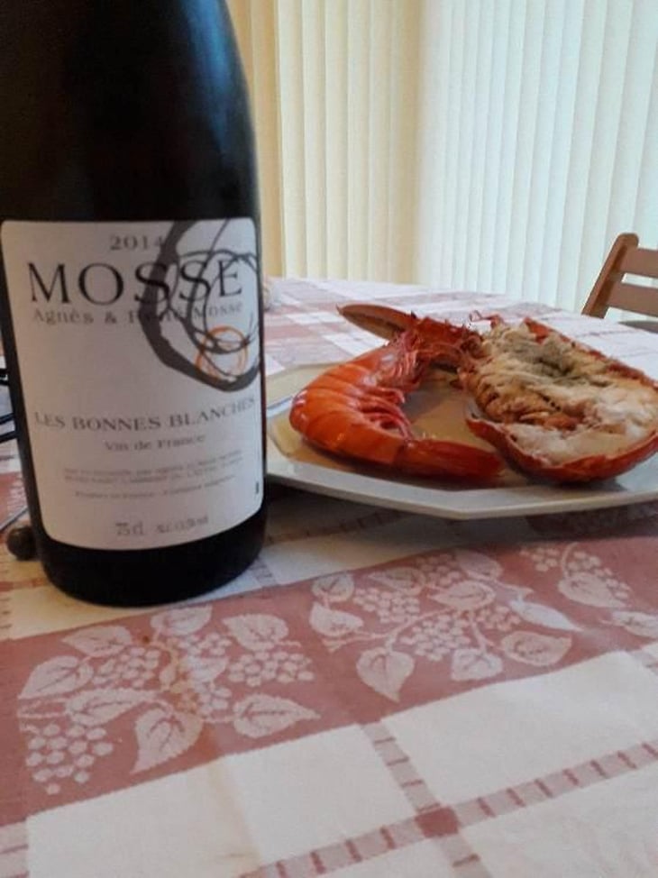 Les Bonnes Blanches - Domaine Mosse - Sylvestre & Joseph Mosse 