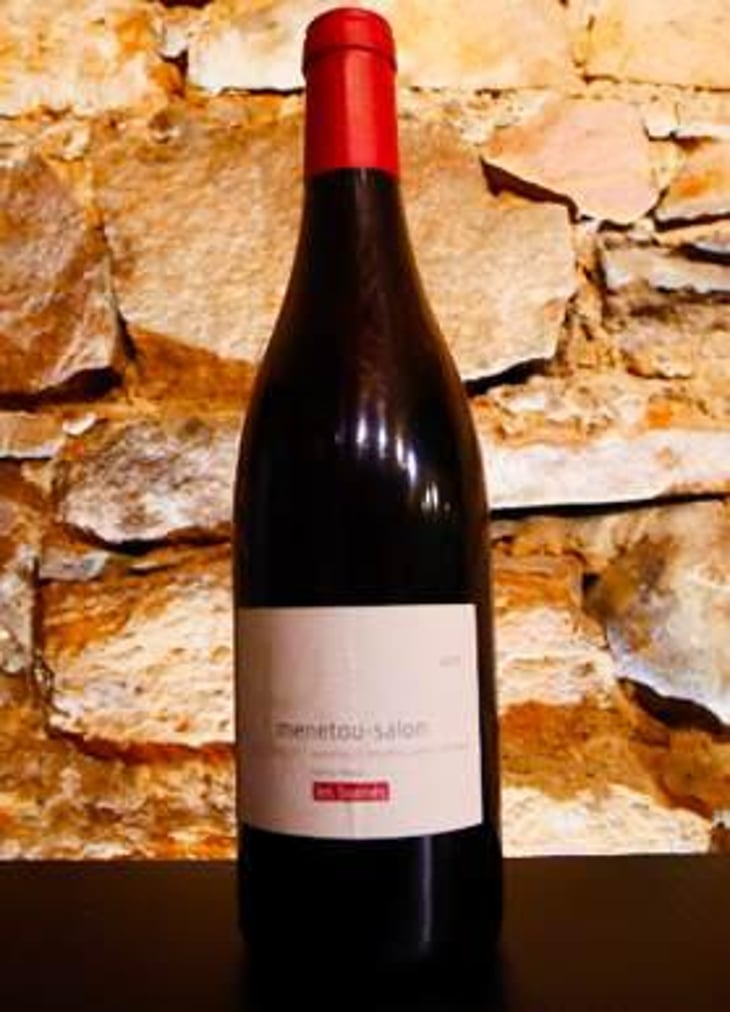 Les Bornés - Domaine Pellé - Paul-Henry Pellé -2017