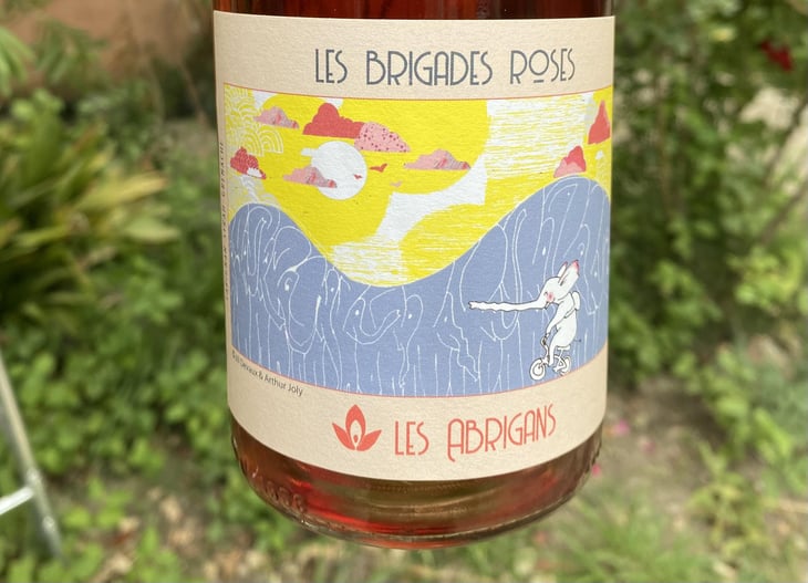 Les Brigades Roses - Les Abrigans - Laura Lees & Arthur Joly -2021