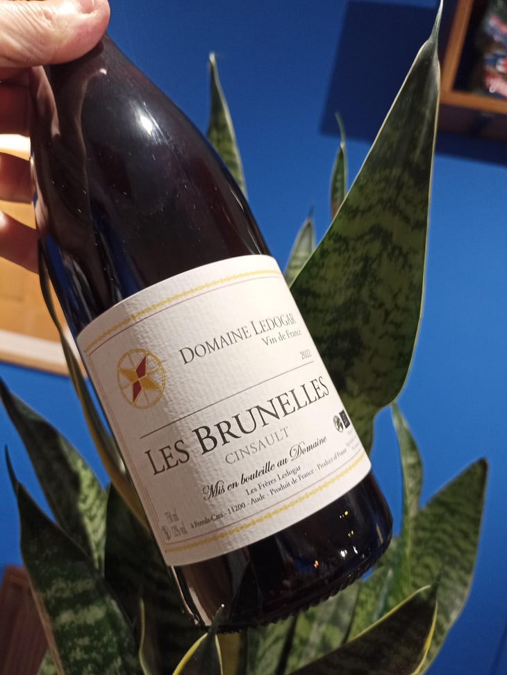 Les Brunelles - Domaine Ledogar - Xavier, Mathieu & Benoît Ledogar -2020