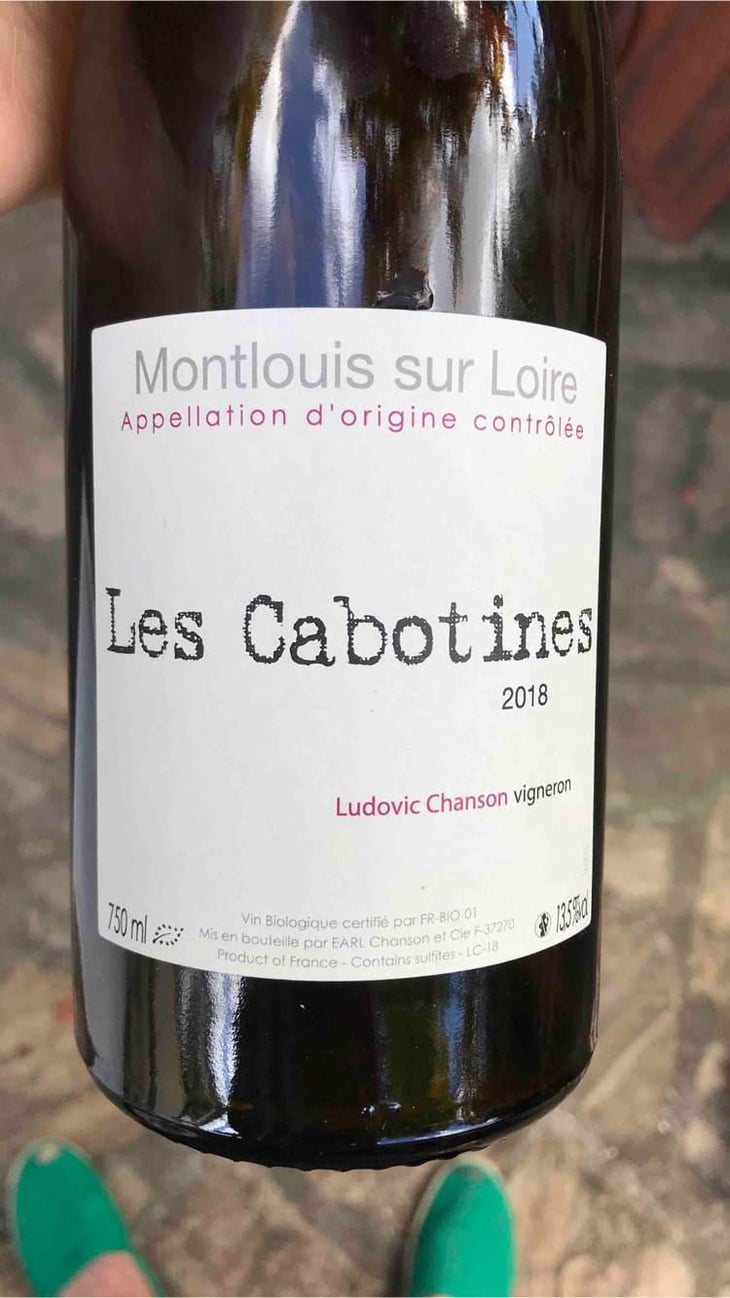 Les Cabotines - Ludovic Chanson - Ludovic Chanson 