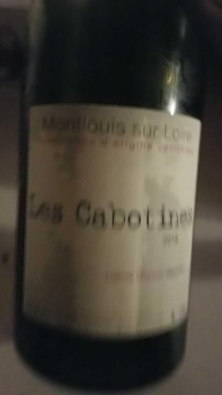 Les Cabotines - Ludovic Chanson - Ludovic Chanson 