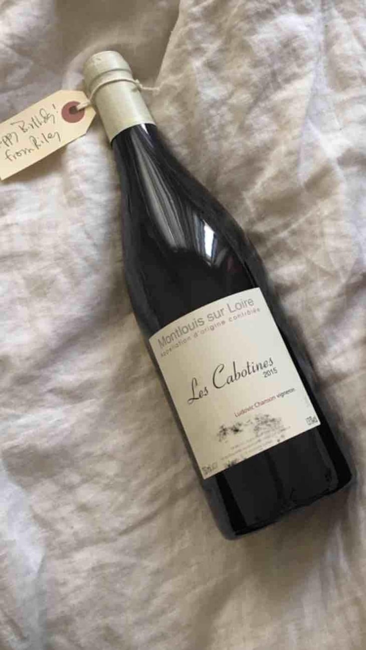 Les Cabotines - Ludovic Chanson - Ludovic Chanson 