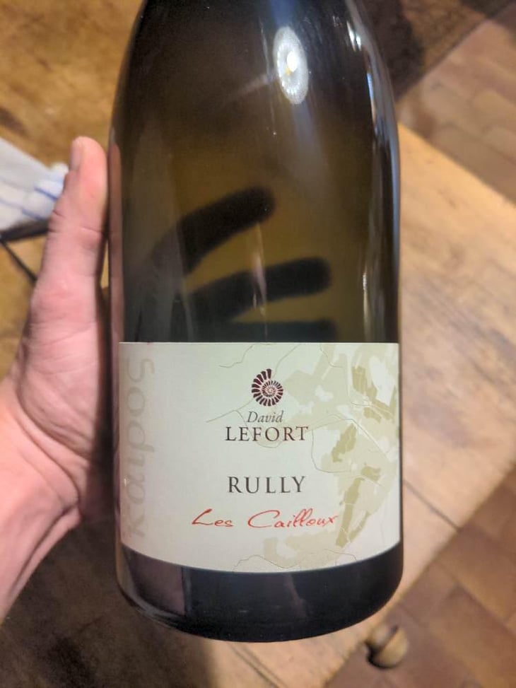 Les Cailloux - David Lefort - David Lefort 