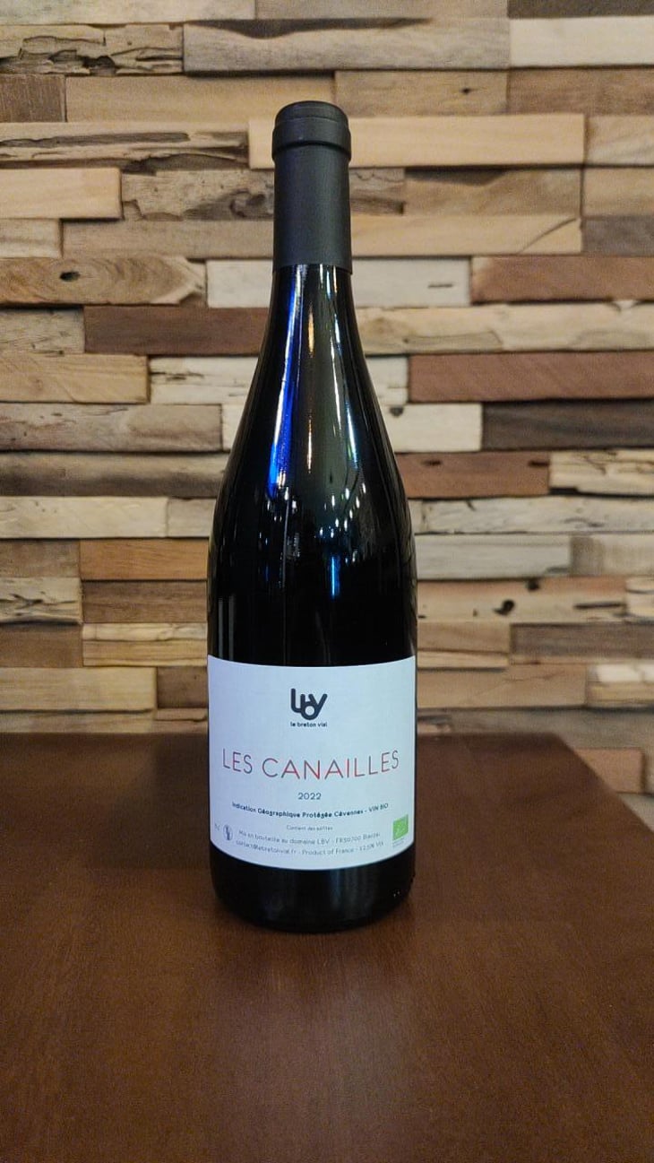 Les Canailles - Le Breton Vial - Julie Le Breton & Christophe Vial 