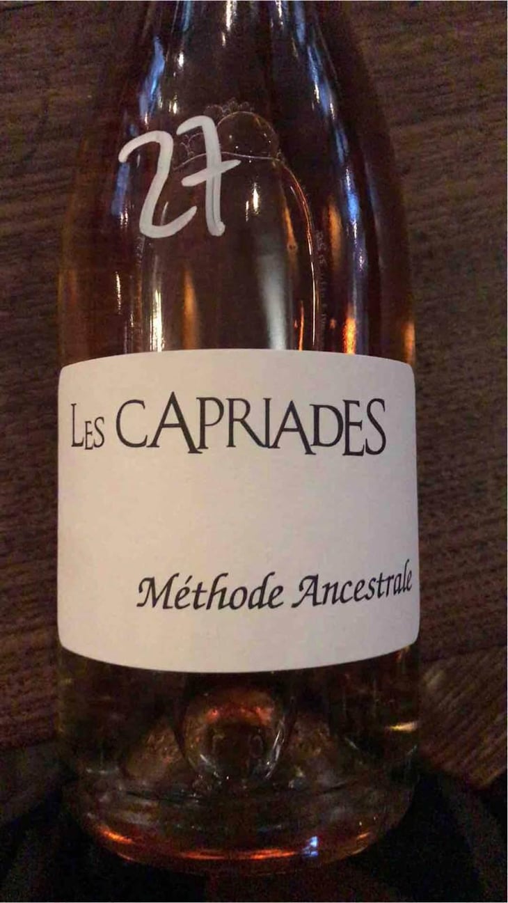 Les Capriades - Les Capriades - Pascal Potaire & Moses Gadouche 